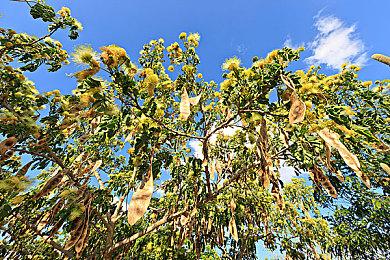 育碧称仍在开发《波斯王子：时之砂重制版》 大家勿急